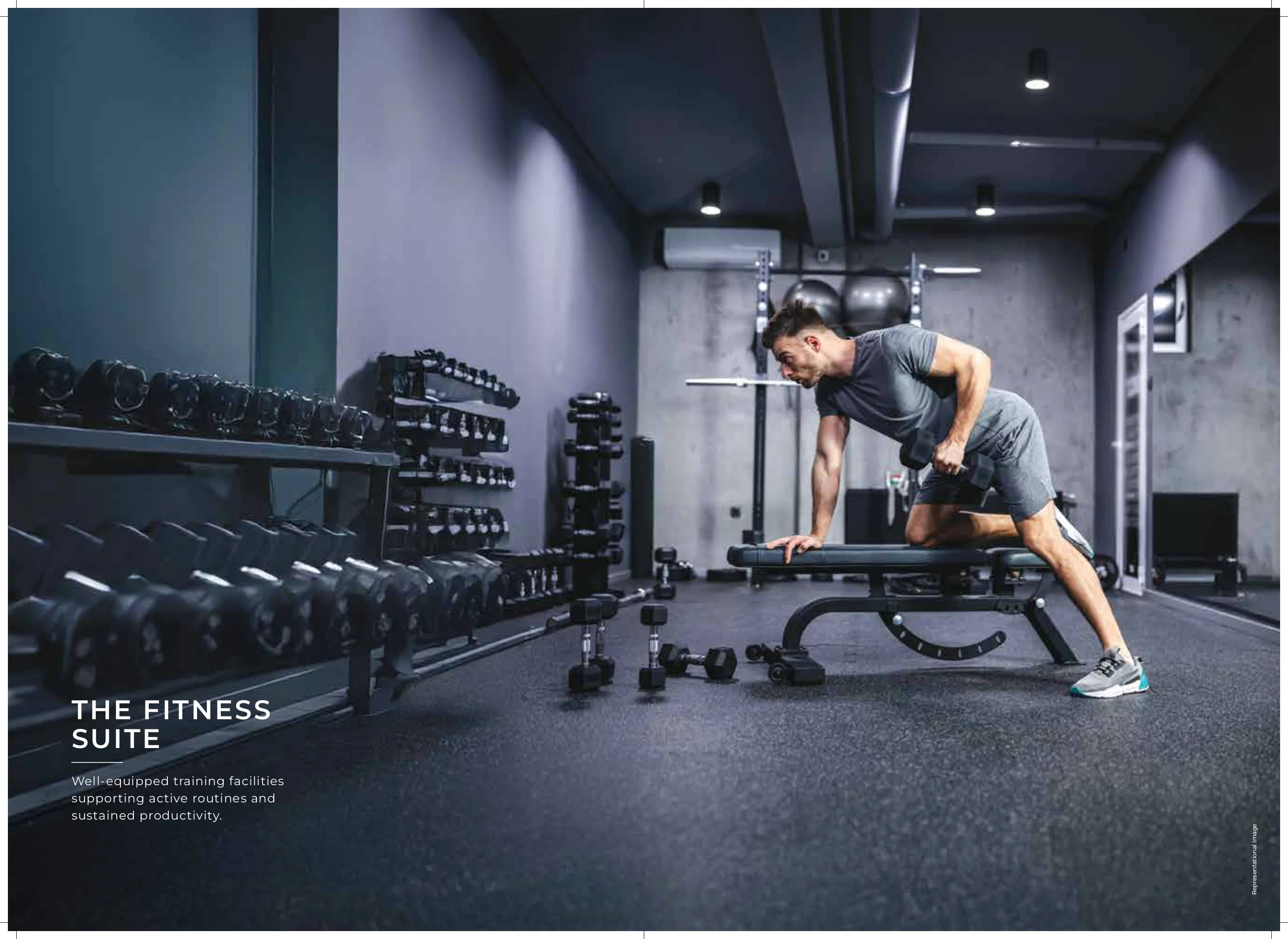 The Fitness Suite Gym